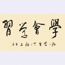 学会学习